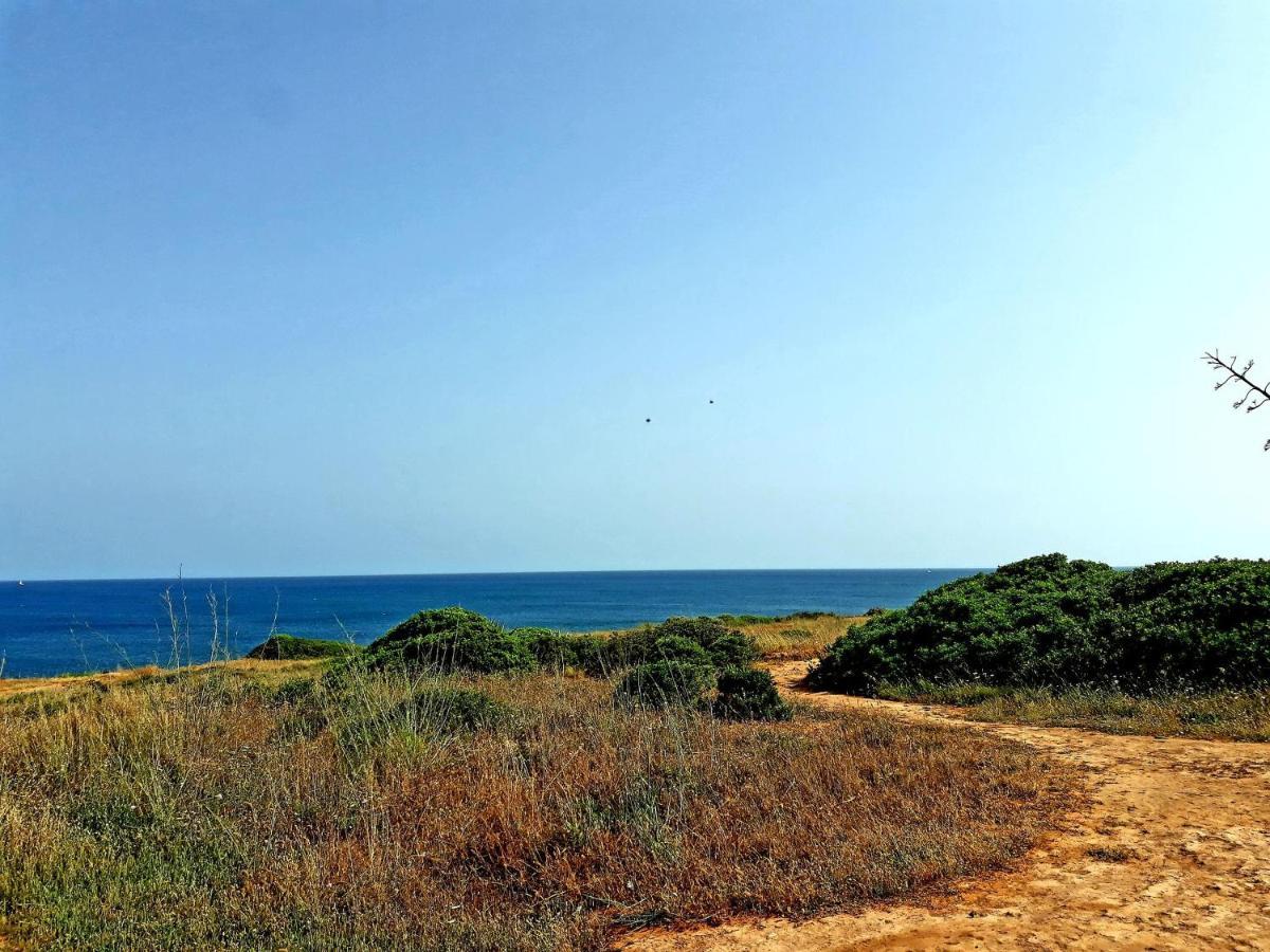 Casa Canavial Praia Da Luz ภายนอก รูปภาพ