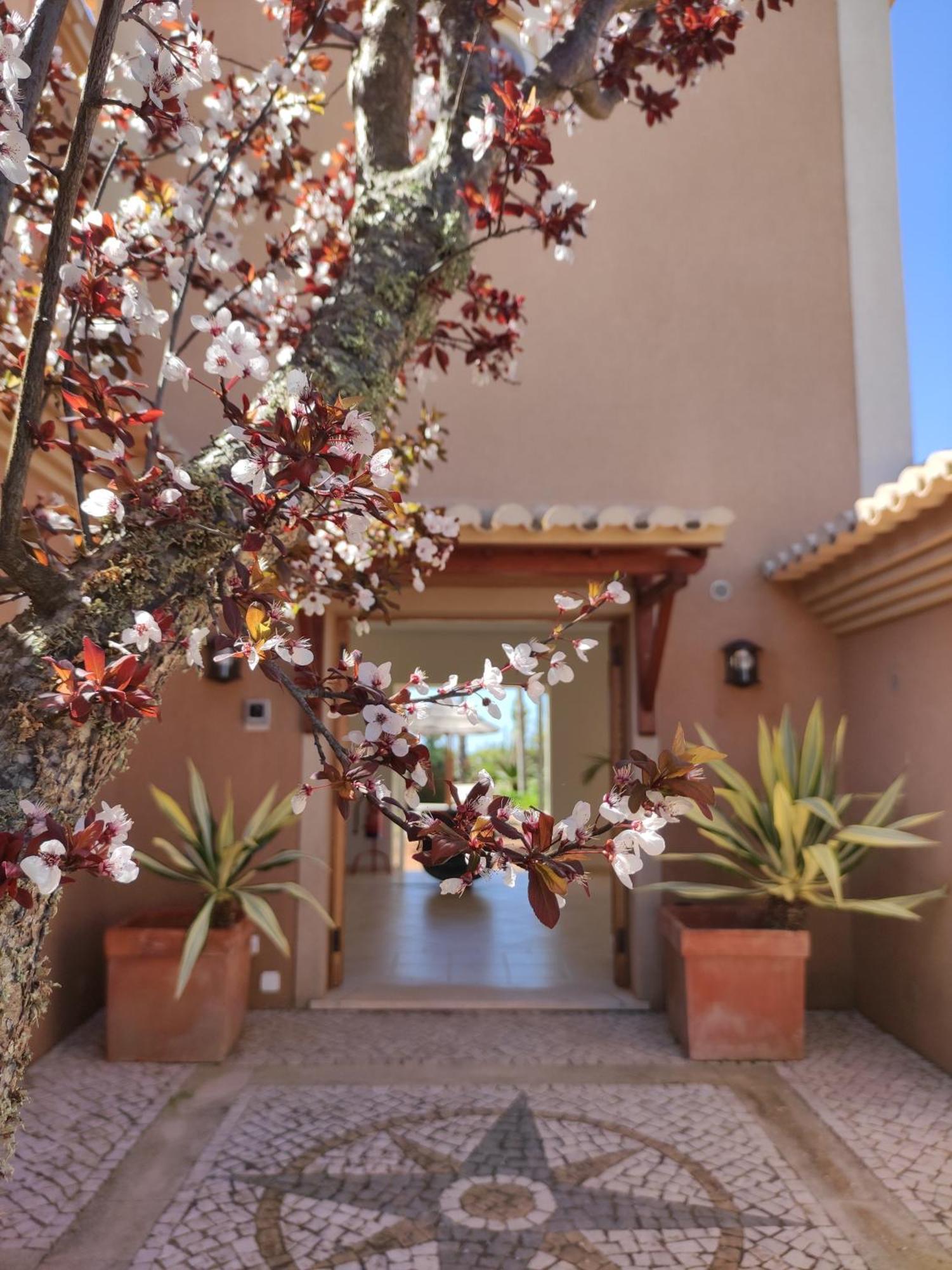 Casa Canavial Praia Da Luz ภายนอก รูปภาพ